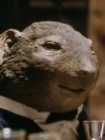 Rat