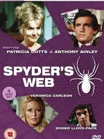 Spyder's Web