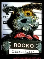 Rocko the Dog