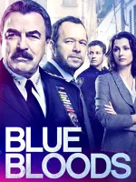 Blue Bloods Crime Scene New York