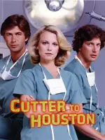 Cutter to Houston