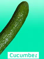 Cucumber