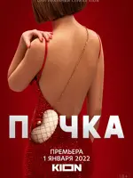 Почка