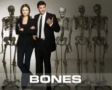 Bones