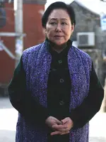 Aunt (Li family matriarch)