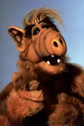 ALF