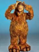 ALF