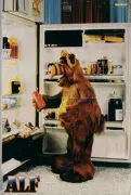 ALF