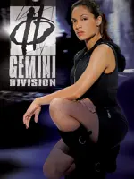 Gemini Division