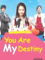 You Are My Destiny