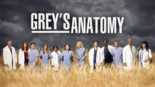 Grey's Anatomy: Die jungen Ärzte