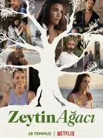 Zeytin Ağacı