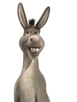 Donkey