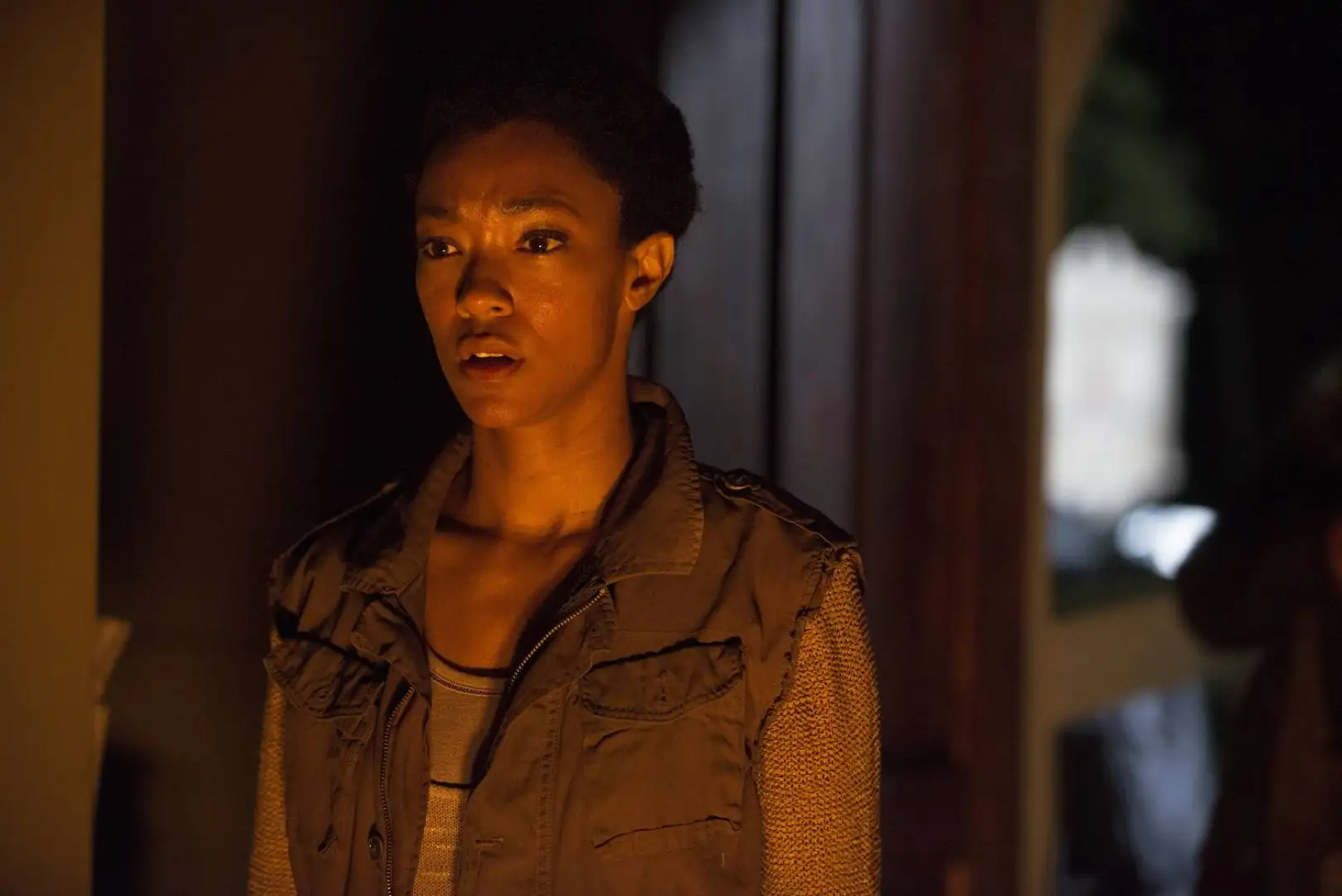 Sasha williams actress