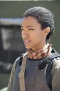 Sasha Williams