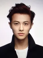 Wang Zi